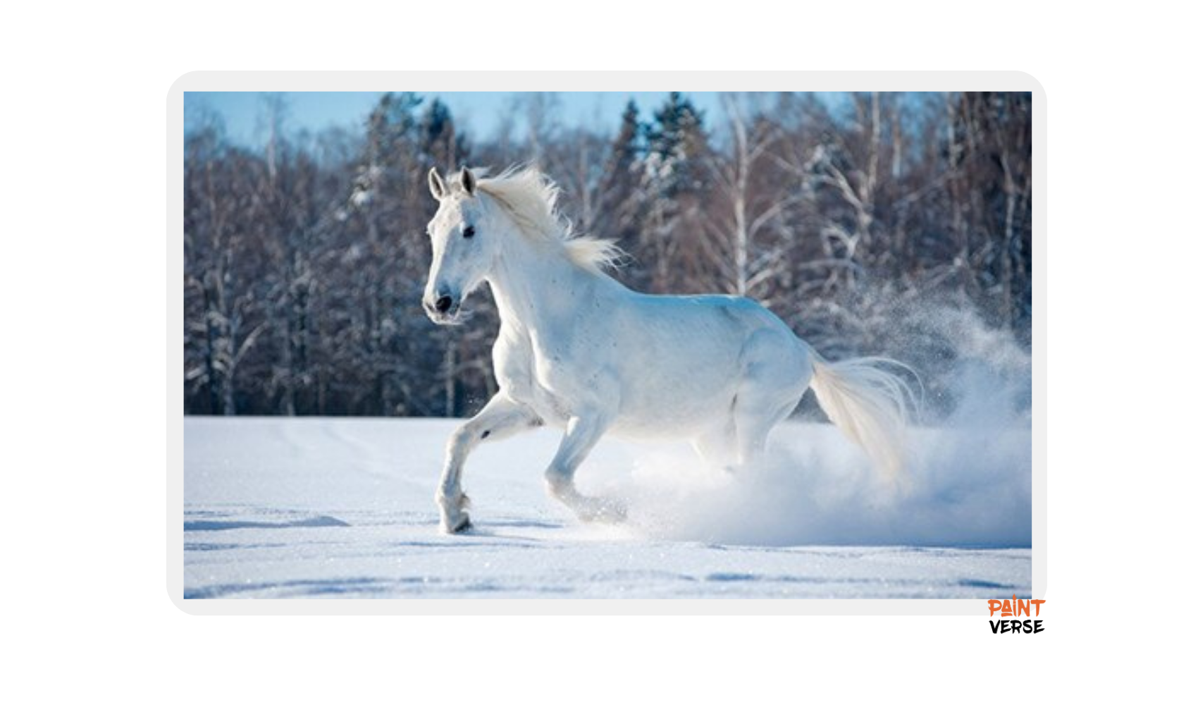 Wild White Horse Dog Animal Landscape Canvas Painting Scandinavian