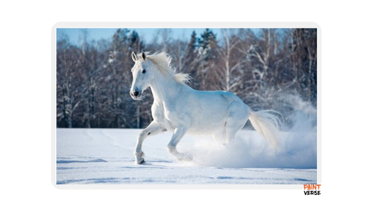 Wild White Horse Dog Animal Landscape Canvas Painting Scandinavian