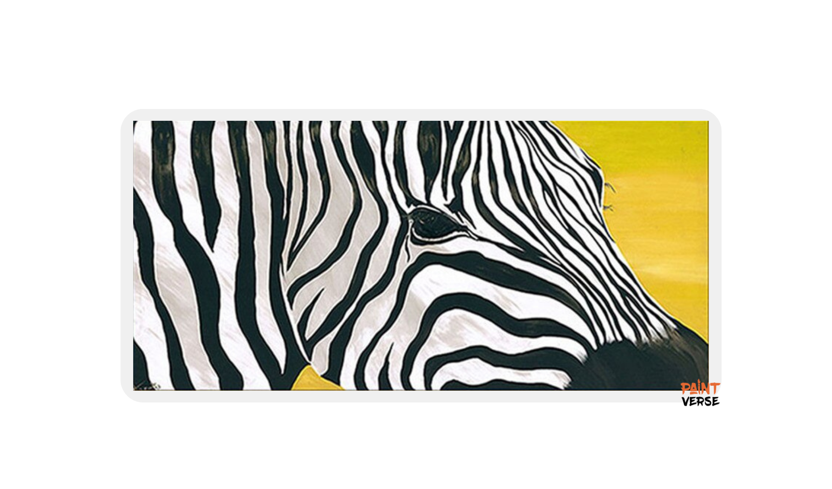 Handmade Modern Oil Painting African  Big Canvas Picture Zebra Poster