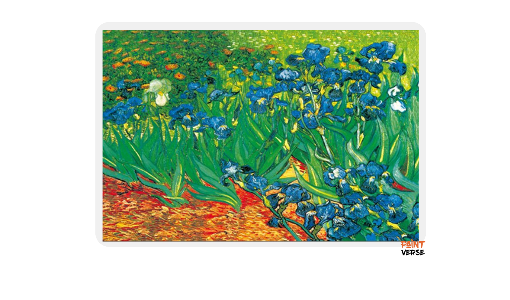 Wall Canvas Artist Art HD Print Van Gogh iris Flower Impressionist Landscape Oil Painting