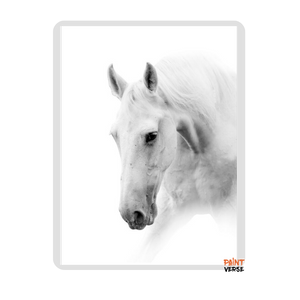 HD Print Artistic Animals Art White Horse Oil Painting on Canvas Poster Modern