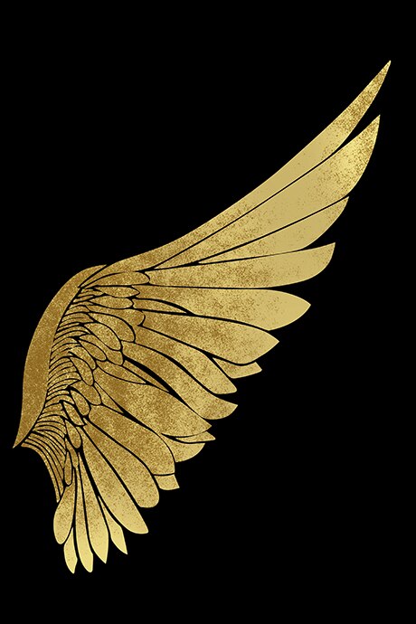 Abstract Gold Wings Canvas Painting ScandinavianWall Art Posters and Prints Minimalist