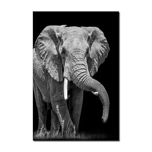 Abstract Black Graffe Elephant Lion Canvas Painting Modern Nordic Animal Posters