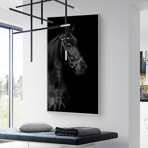 Black and White Horse Lion Tiger Canvas Art Painting Posters and Prints