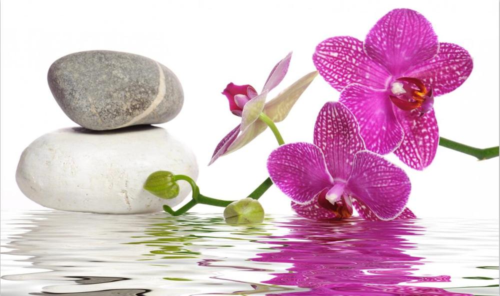 HD Print Modern Purple Orchid Zen Spa Stone Spa Stil Canvas Painting Poster Wall