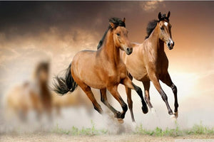 European Running Horses Animal Landscape Painting on Canvas Wall Art Picture