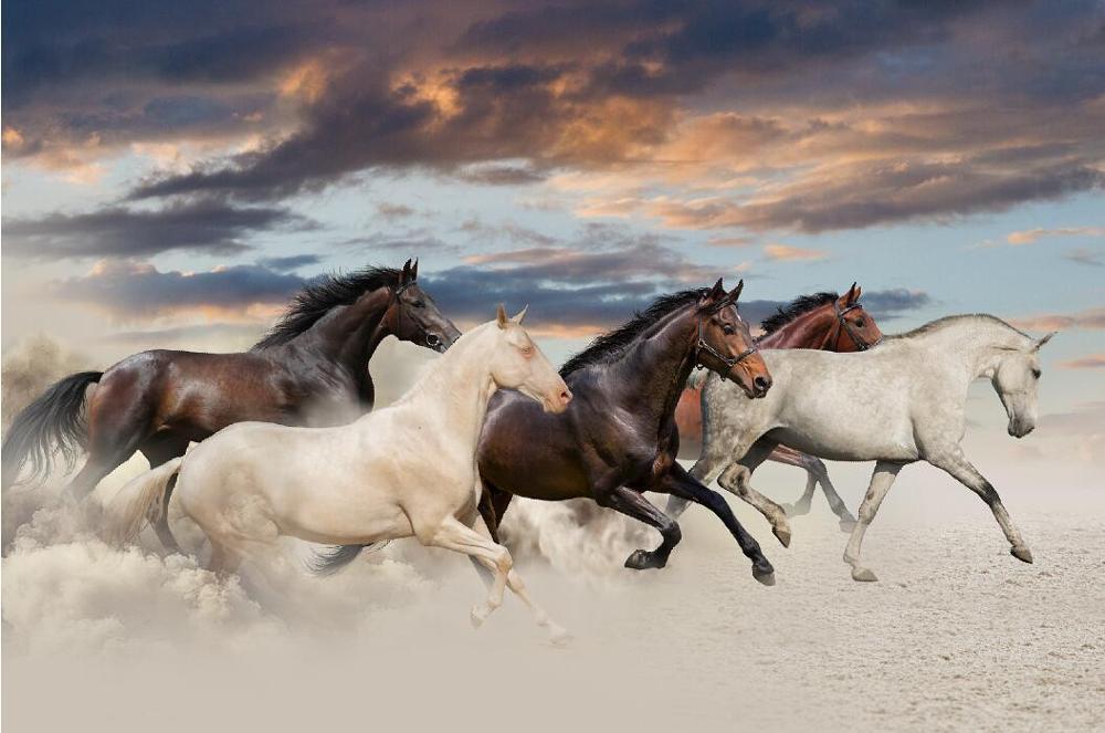 European Running Horses Animal Landscape Painting on Canvas Wall Art Picture