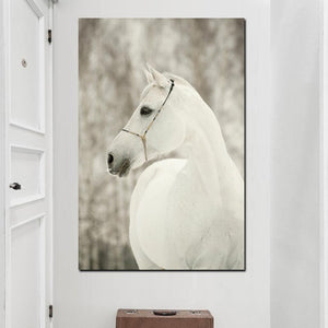 HD Print Artistic Animals Art White Horse Oil Painting on Canvas Poster Modern