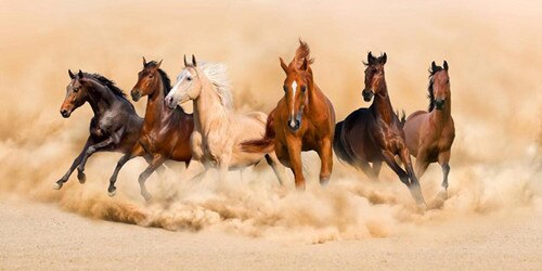 Modern Landscape Poster Print Abstract Six Running Horses Oil Painting on Canvas Wall