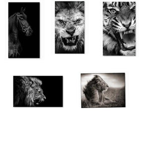 Black and White Horse Lion Tiger Canvas Art Painting Posters and Prints